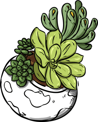 decorativecactus-pot-icons-classical-colorful-handdrawn-sketch-706712