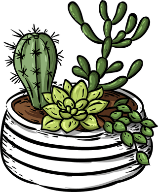 decorativecactus-pot-icons-classical-colorful-handdrawn-sketch-452891