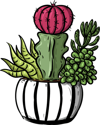 decorativecactus-pot-icons-classical-colorful-handdrawn-sketch-904719