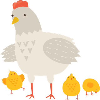 hencute-hens-chicken-569346