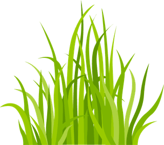 decorativegreen-grass-pattern-169611
