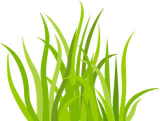 decorativegreen-grass-pattern-172185