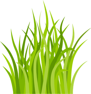 decorativegreen-grass-pattern-177328