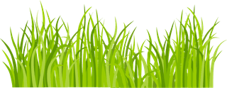decorativegreen-grass-pattern-182406
