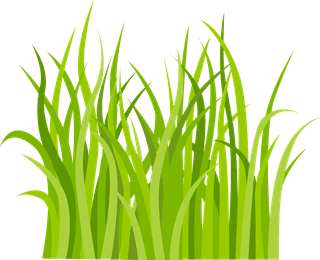 decorativegreen-grass-pattern-185023
