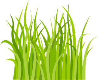 decorativegreen-grass-pattern-185023