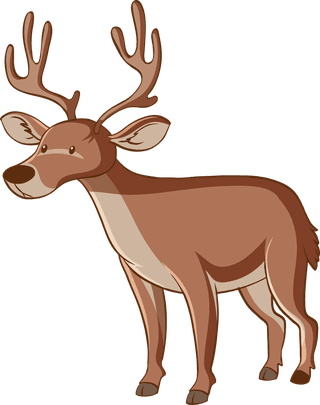 deerlarge-set-of-wildlife-with-many-types-of-animals-illustration-586944