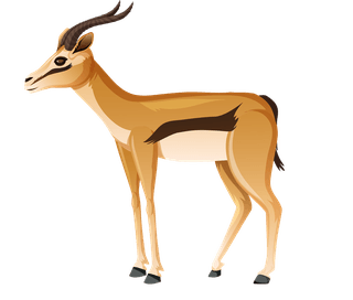 deerset-of-isolated-wild-african-animals-on-white-background-412895