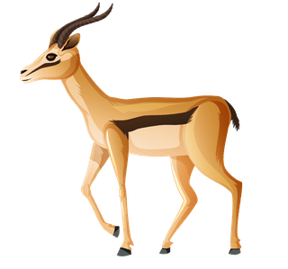 deerset-of-isolated-wild-african-animals-on-white-background-571695