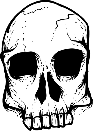 demonskull-skull-set-527482