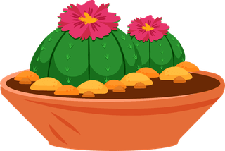 desertspiny-plant-mexico-cacti-flower-vector-collection-855599