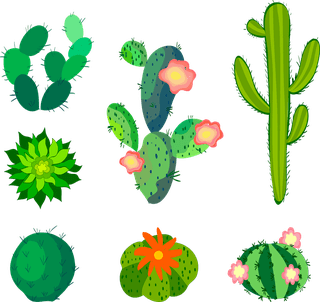 desertspiny-plant-mexico-cacti-flower-vector-collection-887054