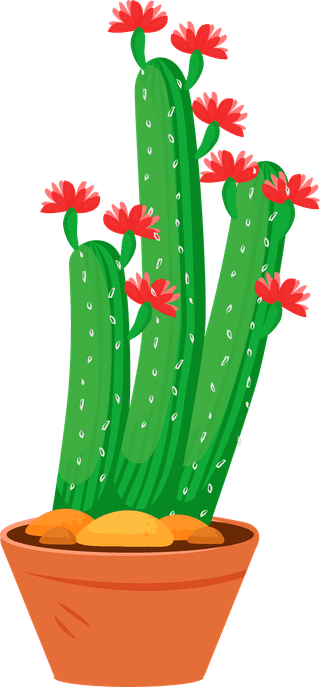 desertspiny-plant-mexico-cacti-flower-vector-collection-666686