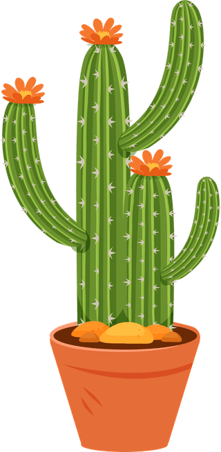 desertspiny-plant-mexico-cacti-flower-vector-collection-225303