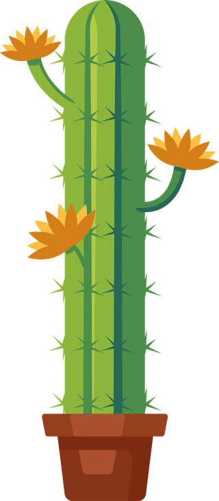 desertspiny-plant-mexico-cacti-flower-vector-collection-891410