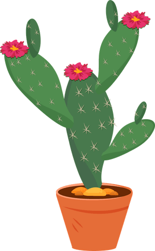 desertspiny-plant-mexico-cacti-flower-vector-collection-360318