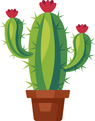 desertspiny-plant-mexico-cacti-flower-vector-collection-74081