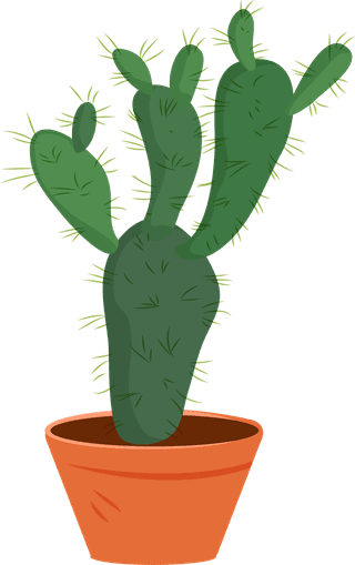 desertspiny-plant-mexico-cacti-flower-vector-collection-596177