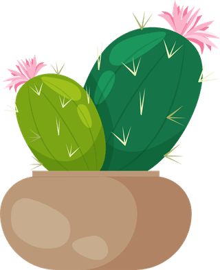 desertspiny-plant-mexico-cacti-flower-vector-collection-916970
