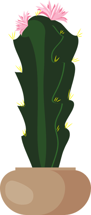 desertspiny-plant-mexico-cacti-flower-vector-collection-23536