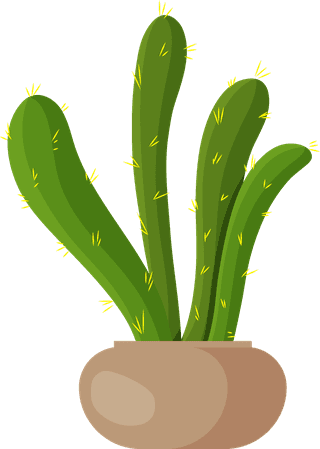 desertspiny-plant-mexico-cacti-flower-vector-collection-871125