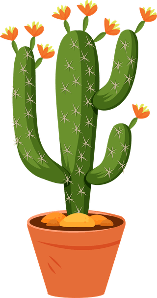 desertspiny-plant-mexico-cacti-flower-vector-collection-131729