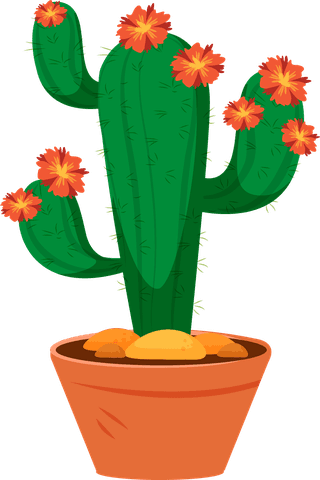 desertspiny-plant-mexico-cacti-flower-vector-collection-109597
