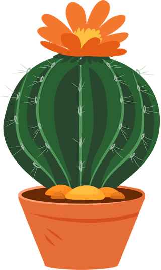 desertspiny-plant-mexico-cacti-flower-vector-collection-787619