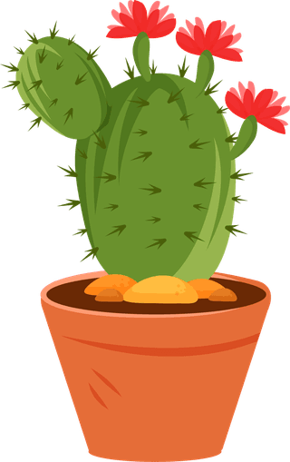 desertspiny-plant-mexico-cacti-flower-vector-collection-285350