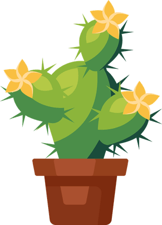 desertspiny-plant-mexico-cacti-flower-vector-collection-879648