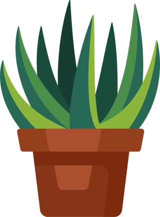 desertspiny-plant-mexico-cacti-flower-vector-collection-121075