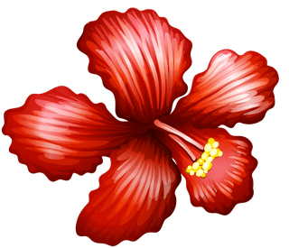 differentkind-of-flowers-illustration-341871