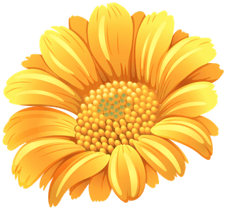 vecteezydifferent-kind-of-flowers-illustration-290625