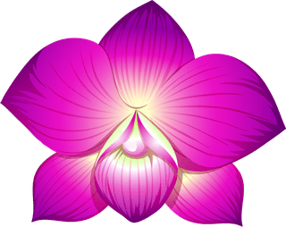 differentkind-of-flowers-illustration-104892