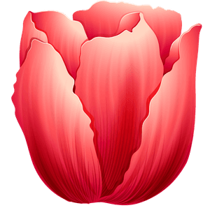 vecteezydifferent-kind-of-flowers-illustration-778079