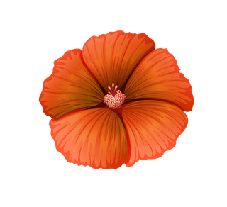 differentkind-of-flowers-illustration-672198