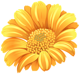 differentkind-of-flowers-illustration-643076