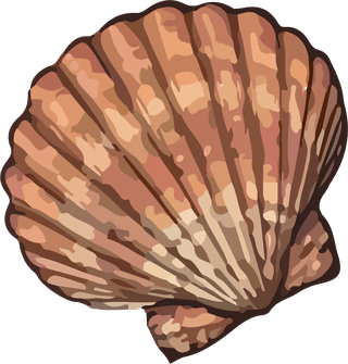 differentsets-of-sea-mollusks-sea-snail-beautiful-vector-583446