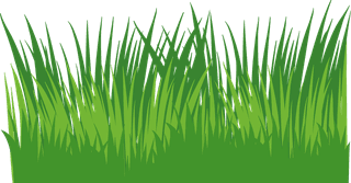 differenttype-of-decorative-grass-element-18381