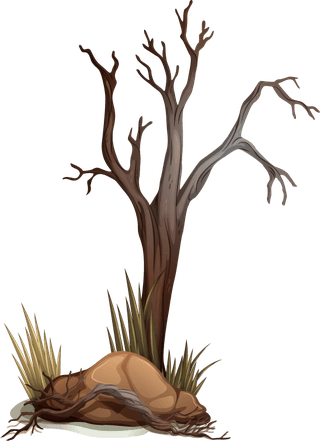 differenttype-of-tree-stump-illustration-209253