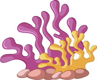 differenttypes-of-coral-reef-illustration-414737