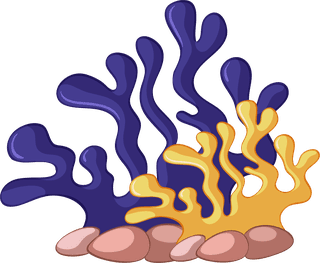differenttypes-of-coral-reef-illustration-513629