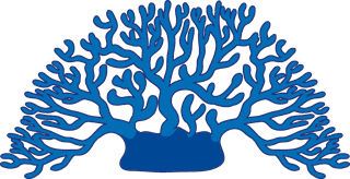 differenttypes-of-coral-reef-illustration-273127