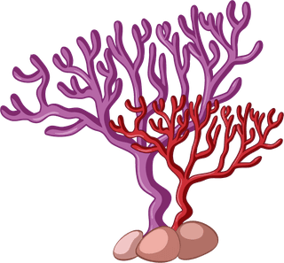 differenttypes-of-coral-reef-illustration-802634