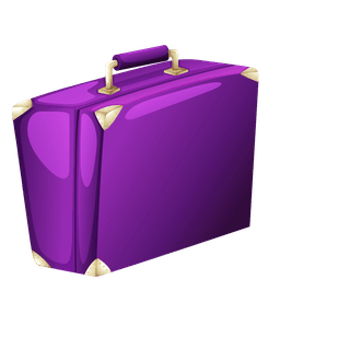 differenttypes-of-luggages-illustration-801159