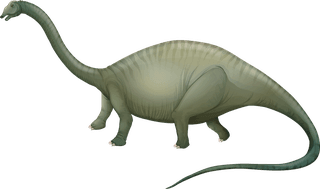 dinosaurd-a-set-of-diffrent-dinosaurs-illustration-530220