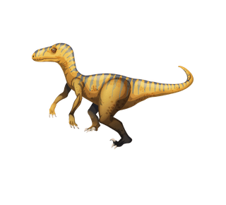 dinosaurd-a-set-of-diffrent-dinosaurs-illustration-912891