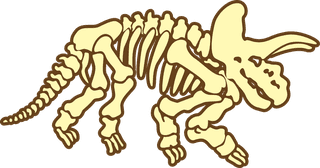 dinosaurfossils-dinosaur-bones-vectors-to-share-with-everyone-hope-you-can-use-740752