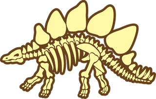 dinosaurfossils-dinosaur-bones-vectors-to-share-with-everyone-hope-you-can-use-668903