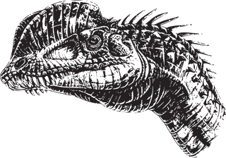 dinosaurvector-dinosaur-heads-123684